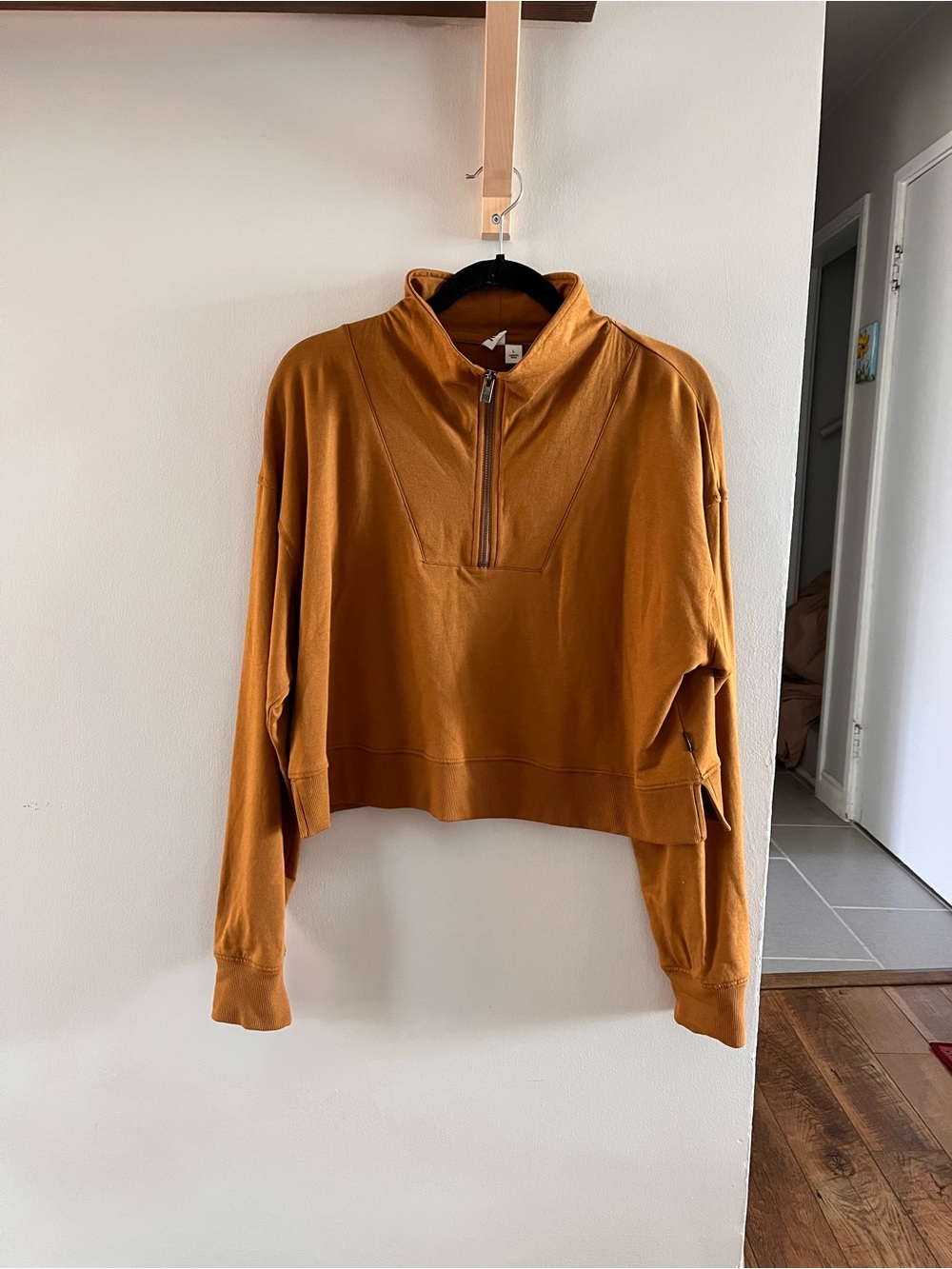 Tentree Cropped Half-Zip Sweatshirt in Rust